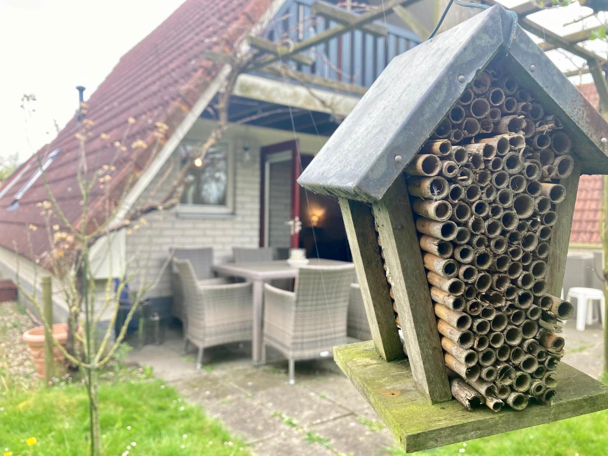 De Druif 6 Pers Holiday Home Close To The National Park Lauwersmeer Anjum Εξωτερικό φωτογραφία